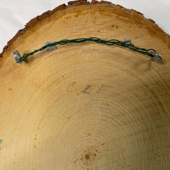 Paul Whitney Wood Plaque Wall Art Wildlife Pine Slab Rustic Wall Hanging u - Picture 12 of 12